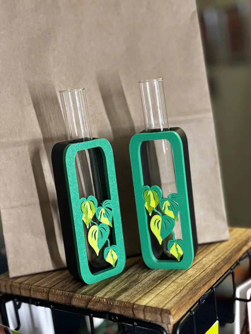 Philodendron Brasil Propagation Station (1)