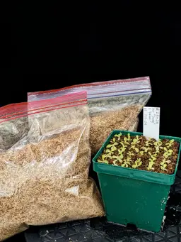 SucSeed - For Seed Germination ~1 oz.