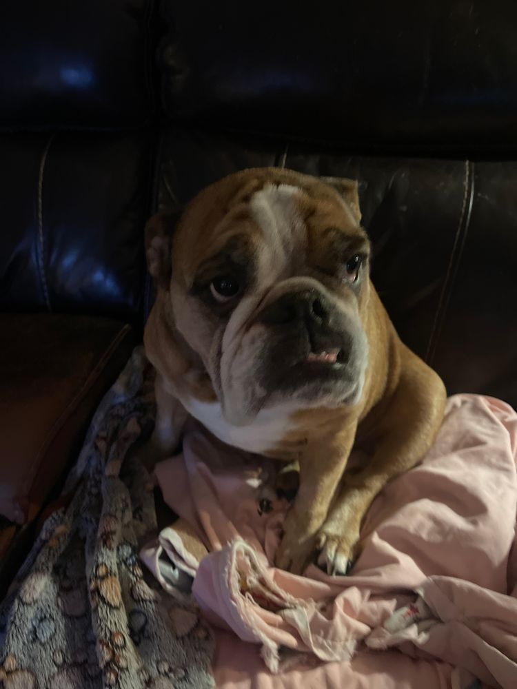 Rosey Invites You To Our Wednesday Show! Lots Of Items Will Be Prelisted . 