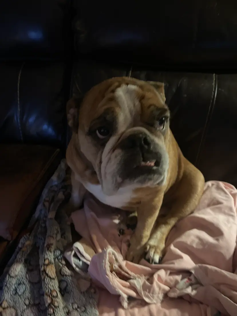 Livestream thumbnail