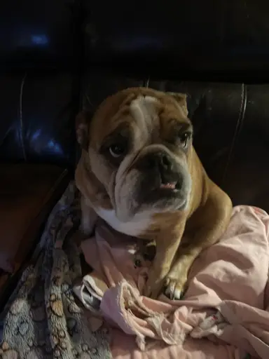 Rosey Invites You To Our Wednesday Show! Lots Of Items Will Be Prelisted .