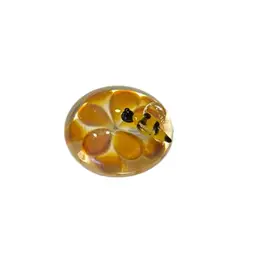 Boomwire Handmade USA Art Glass Miniature Paperweight 3D Bumblebee Of Flower - 2.25”
