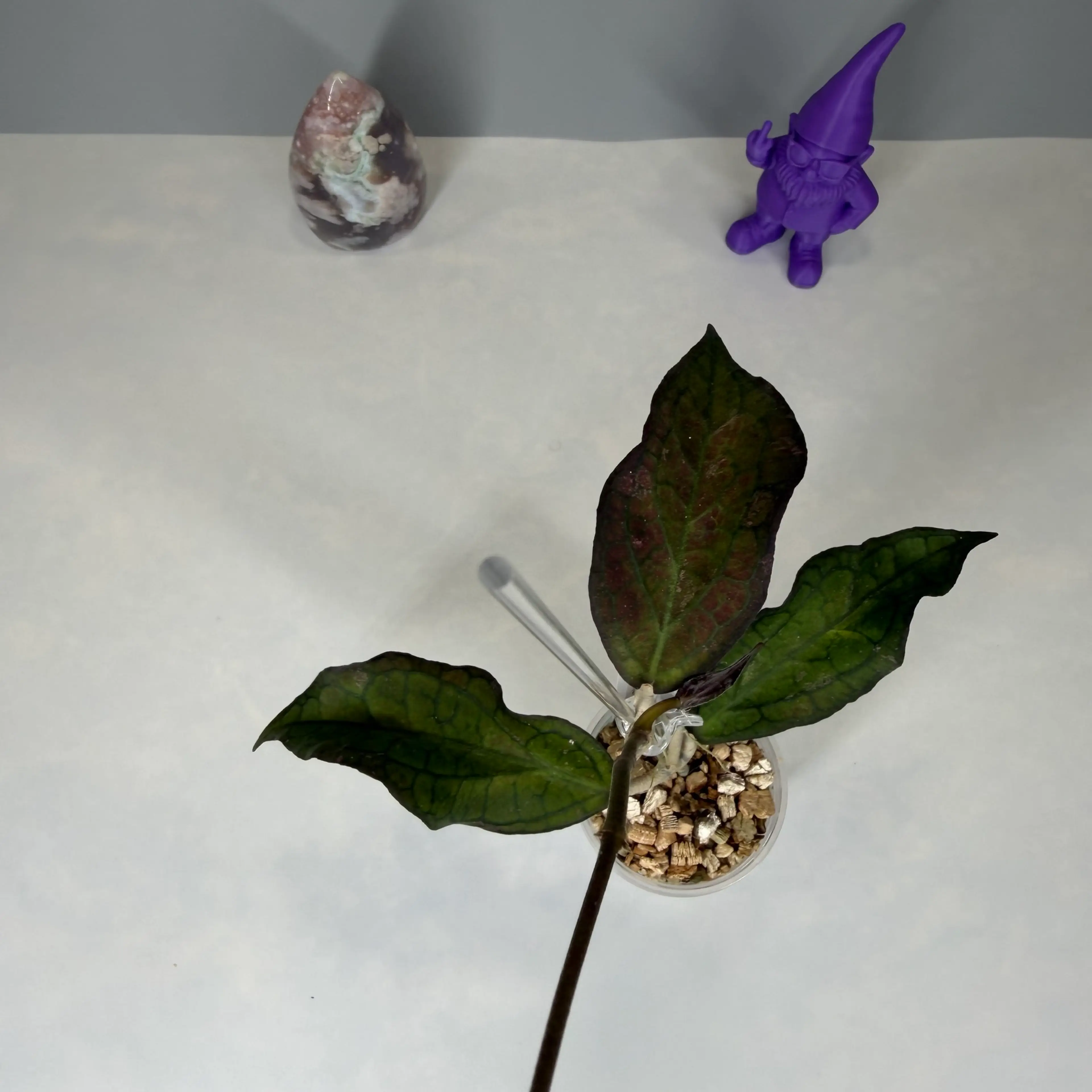 Image 4 of 4
