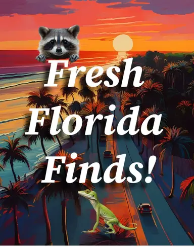 Fresh Finds Tuesday! 🇺🇸Day 17 Of 30 Days Of Sales!