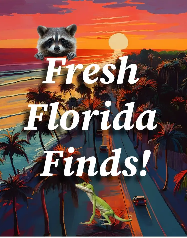 Fresh Finds Tuesday! 🇺🇸Day 17 Of 30 Days Of Sales!