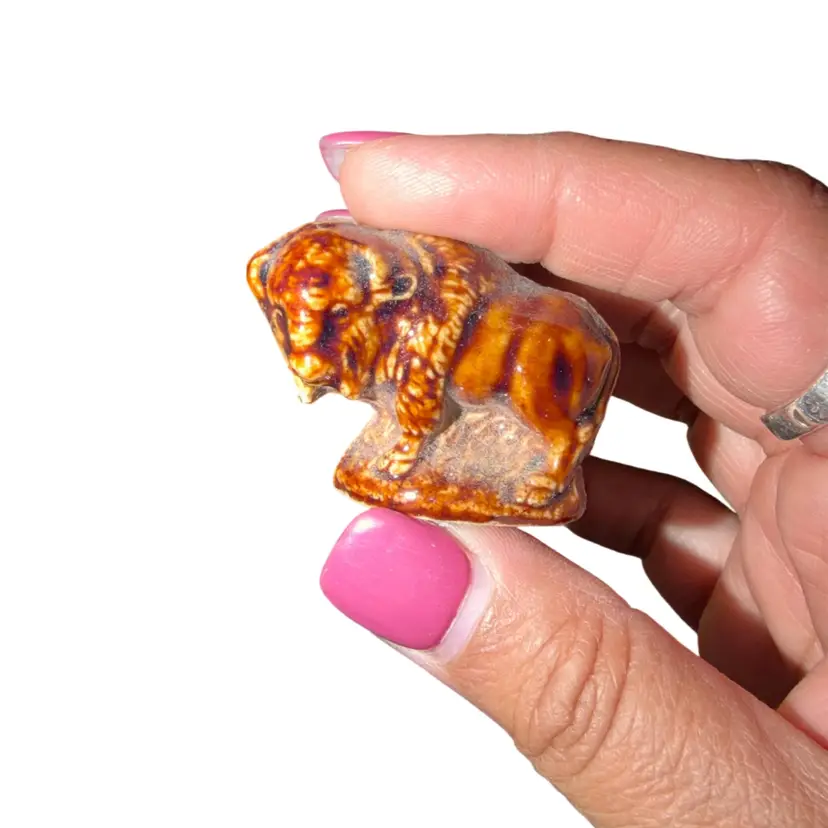 Lighter Colored Bison Wade