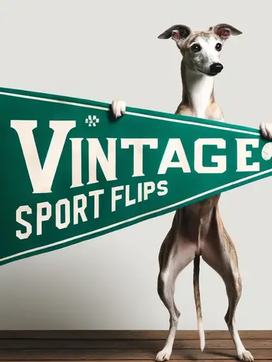 Vintage Variety- Ephemera, Pop Culture, Sports & More