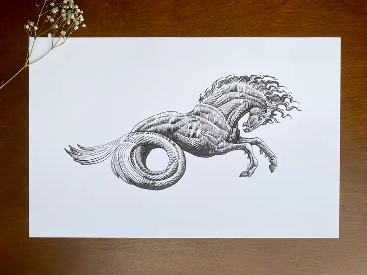 Hippocampus 11x17”