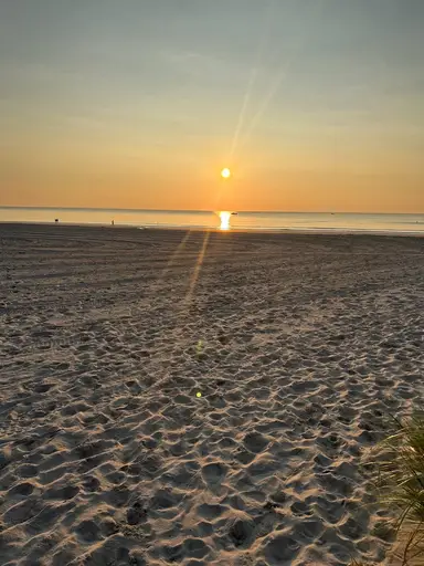 Sunrise, $20 Under BIN & Unwrapping What I Bought