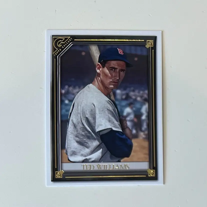 Ted Williams Gallery Boston Red Sox