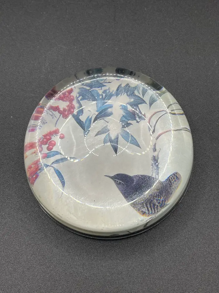 Domed Paperweight With Winter Bird Scene