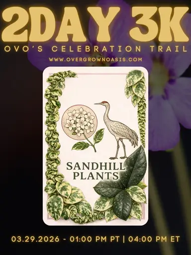 Donating To Girls Football Team