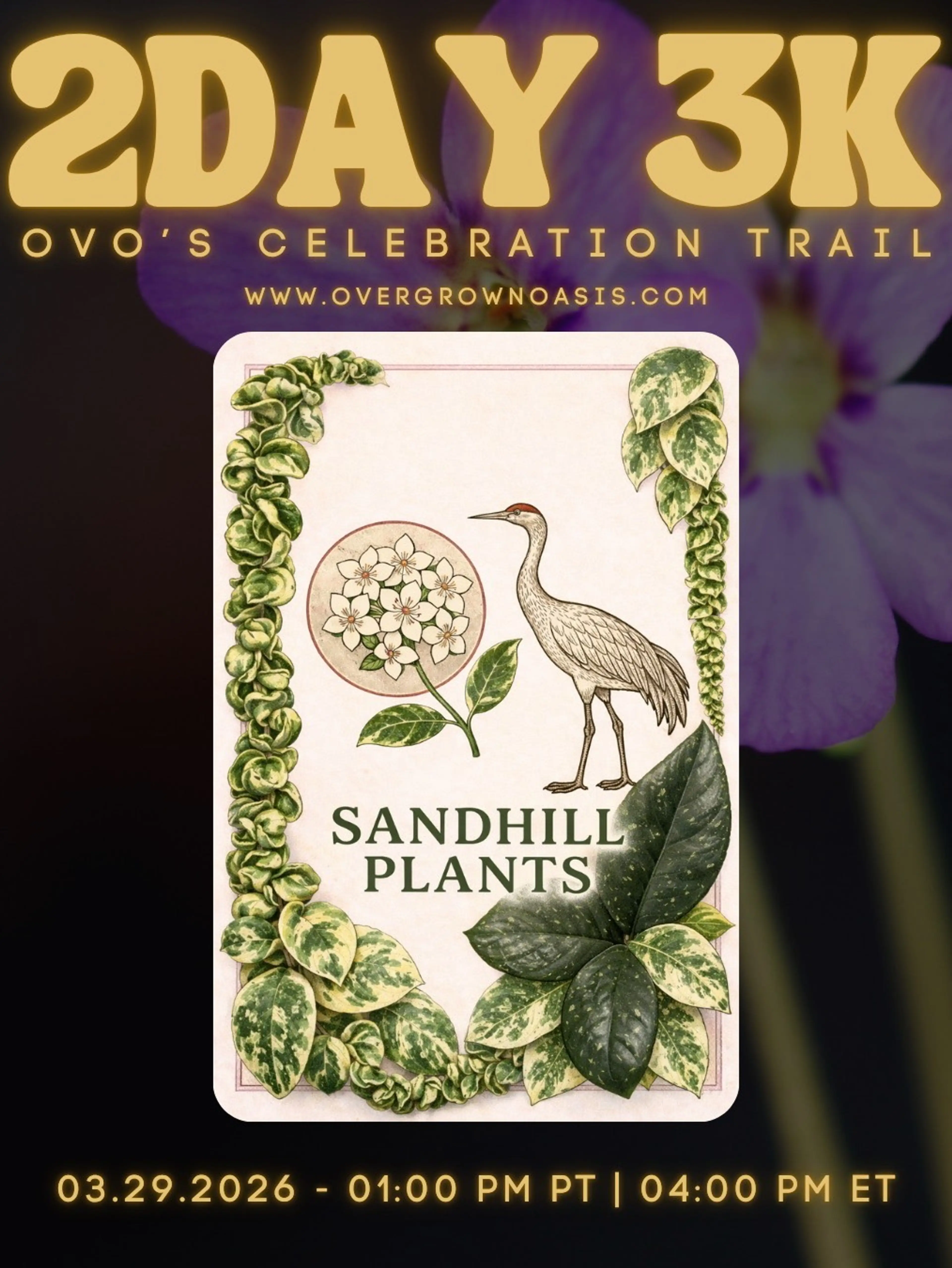 Donating To Girls Football Team