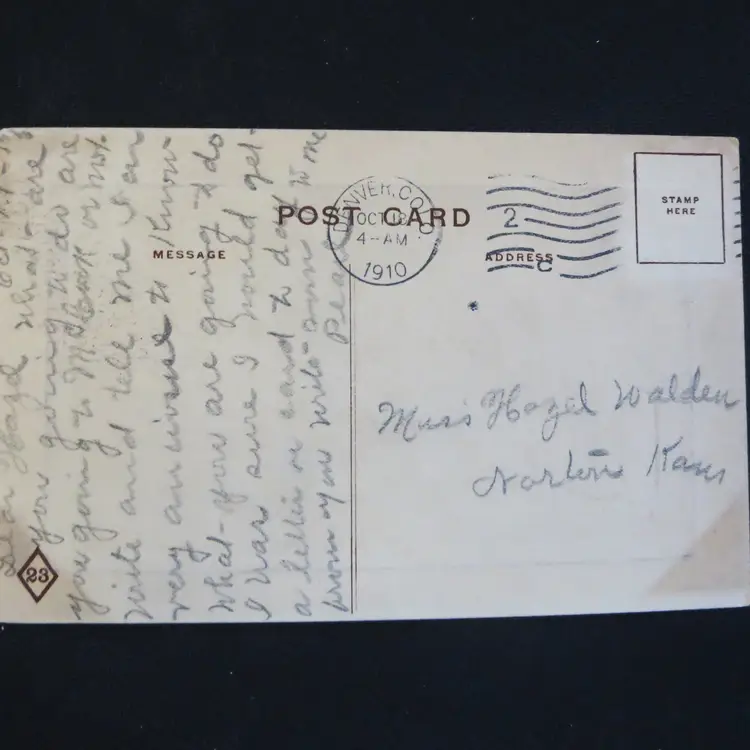 Charming Postcard Posted 1910 Young Girl Feeding Geese