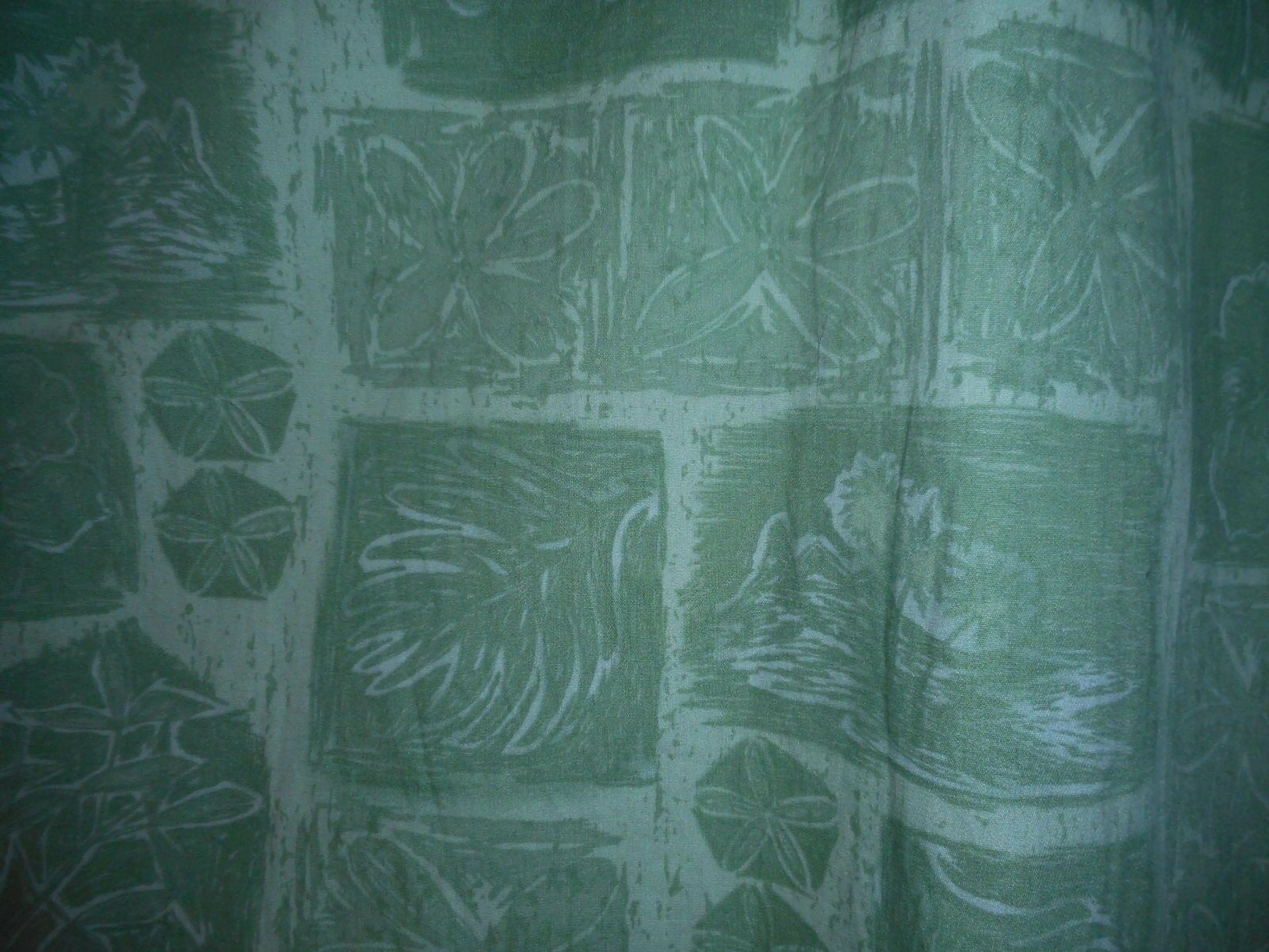 Image 4 of 7