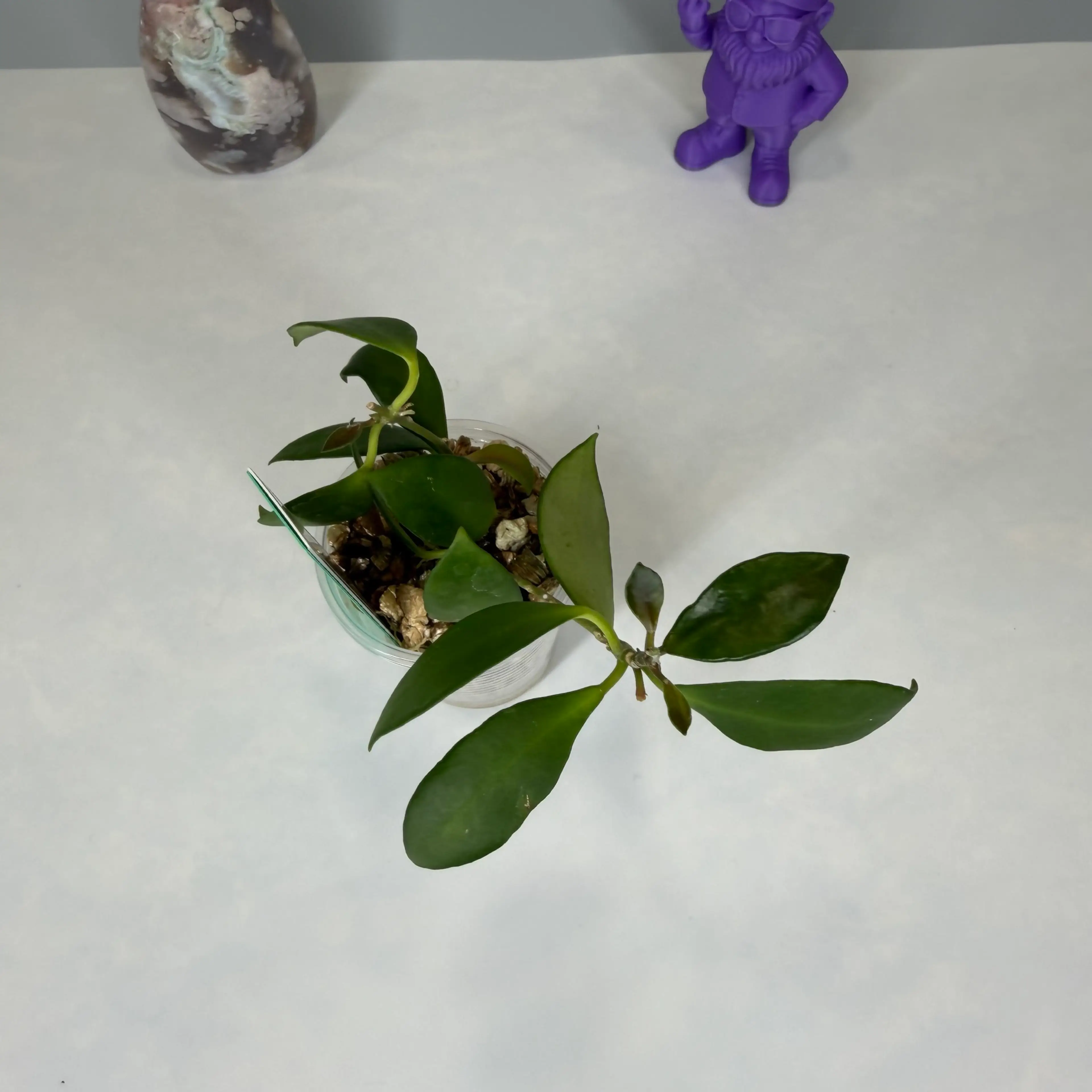 Image 2 of 3