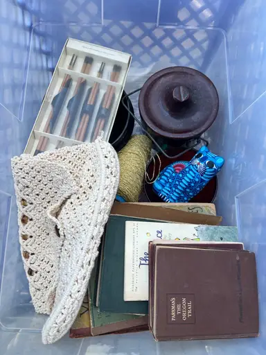 Goodwill Bins Haul!! Later Time Slot 😆