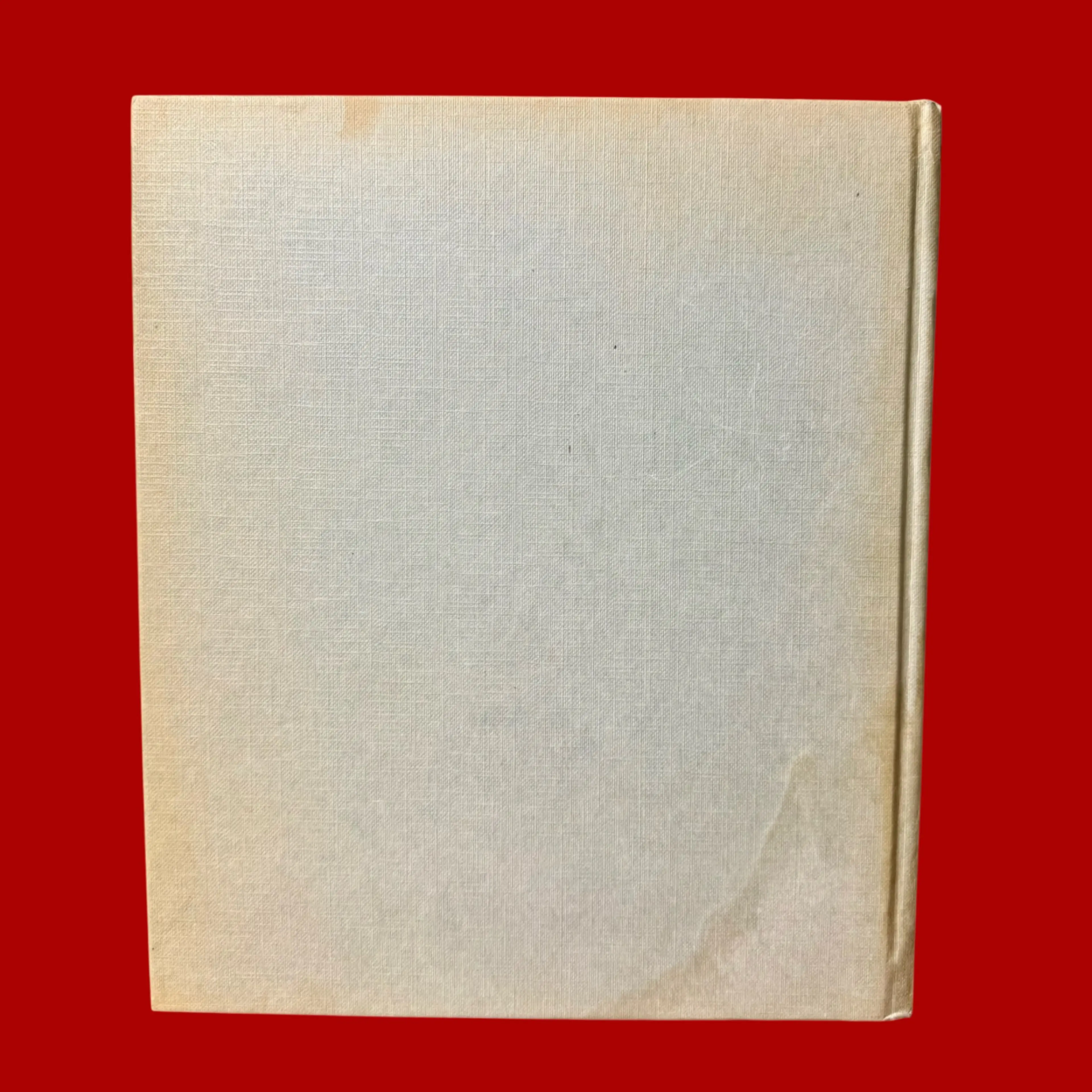 Image 2 of 14