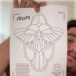 Stained Glass Moth #3