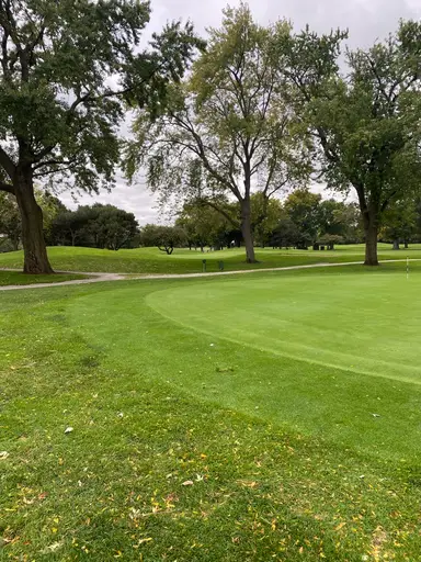 Golf Shafts And Accessories., 