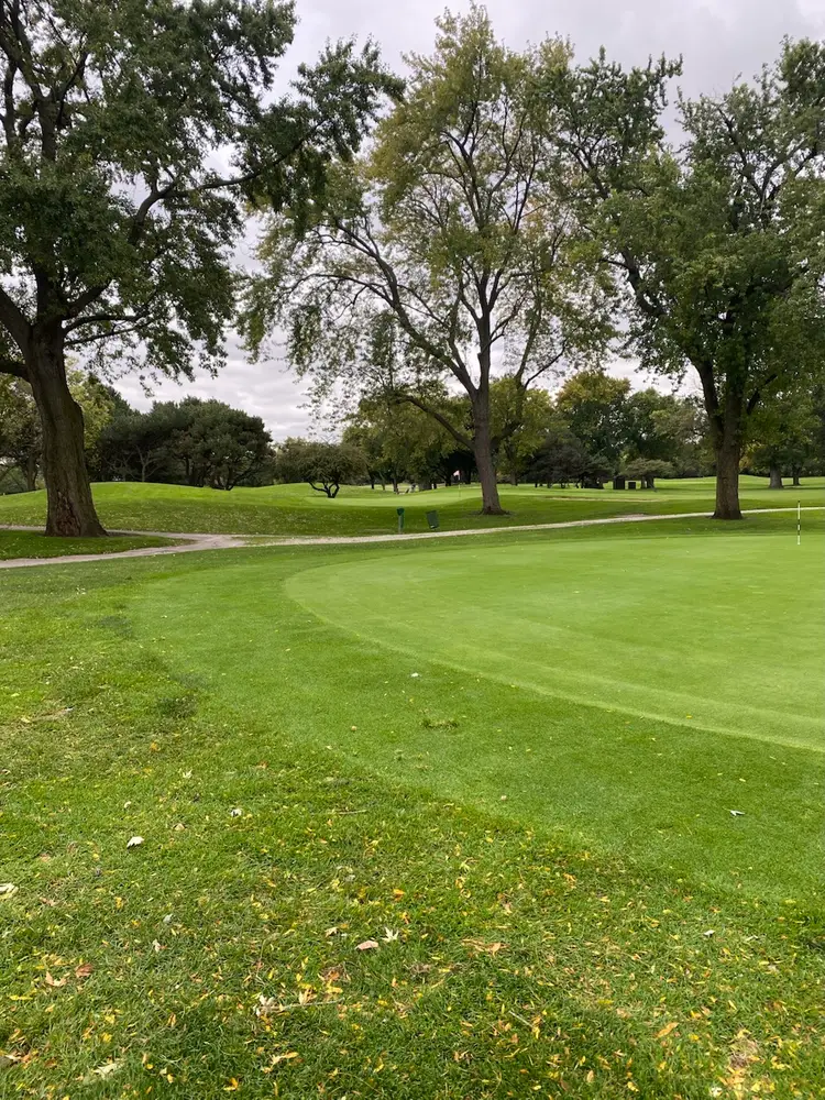 Golf Shafts And Accessories., 