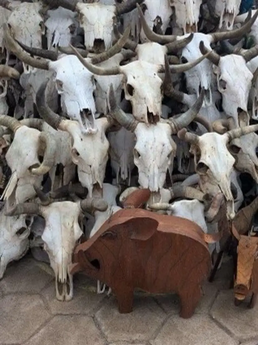 Livestream thumbnail