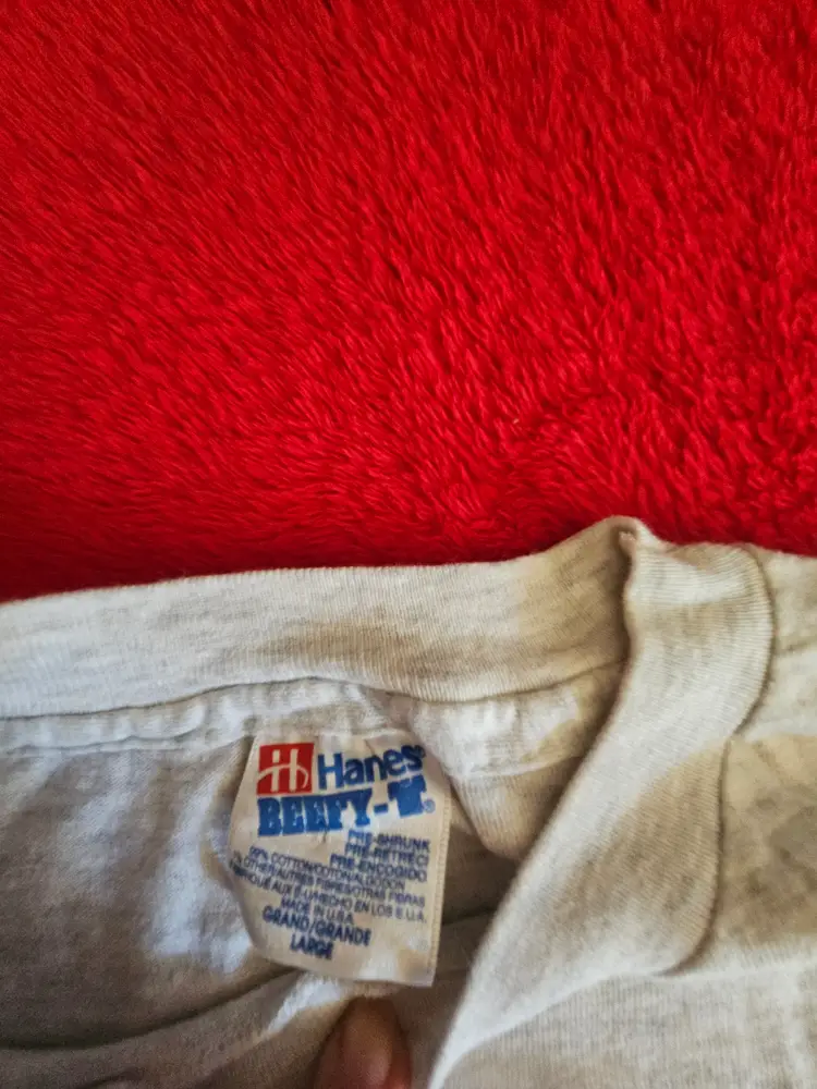 Vintage Taos New Mexico Size Large Hanes Beefy-T T-Shirt