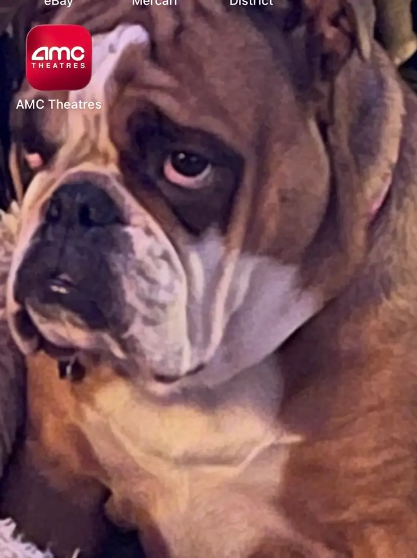 Livestream thumbnail