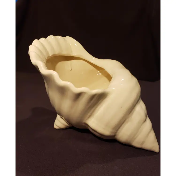 Vintage Ivory Off-White Footed Conch Sea Shell Planter