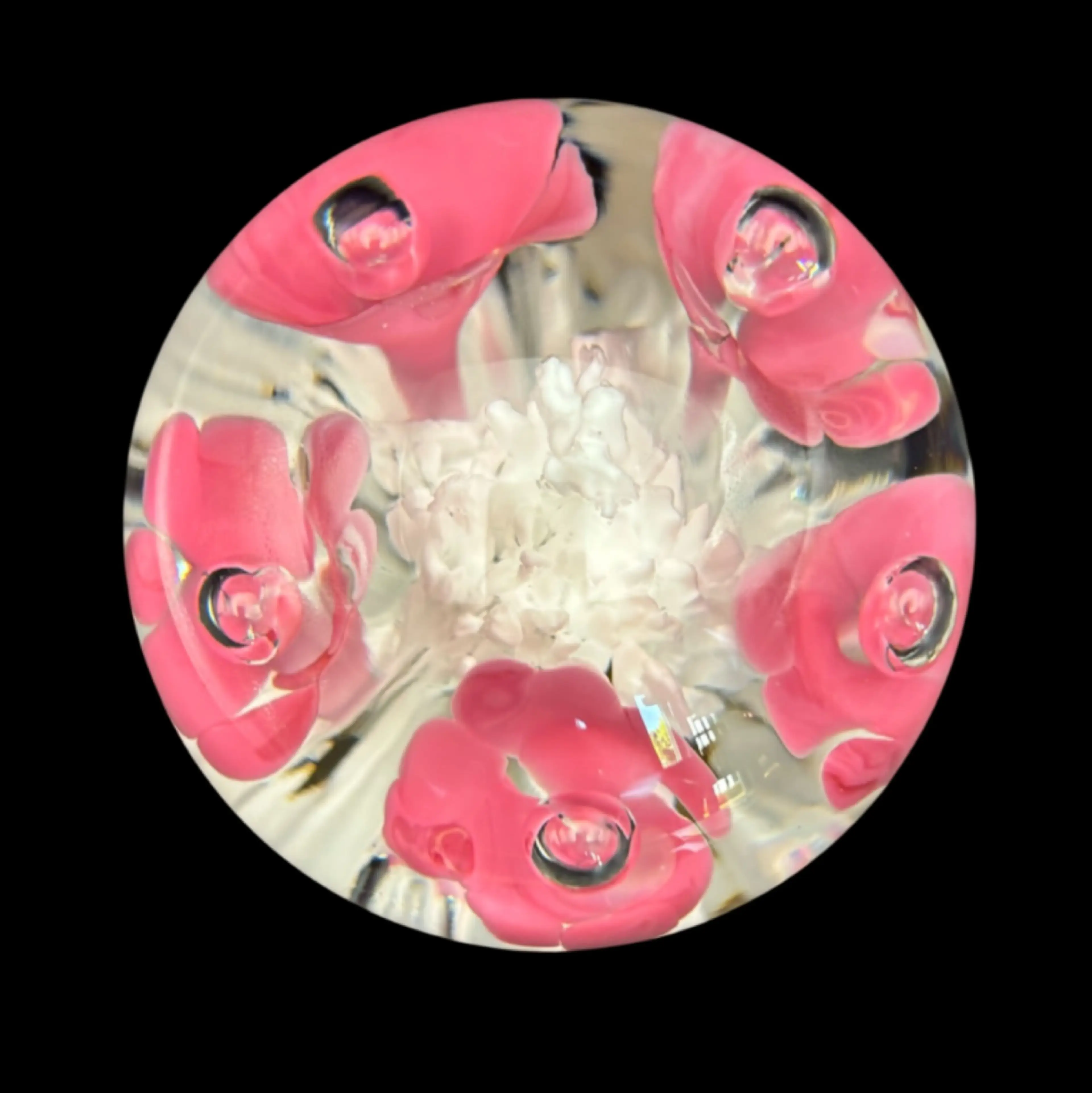 Image 4 of 8