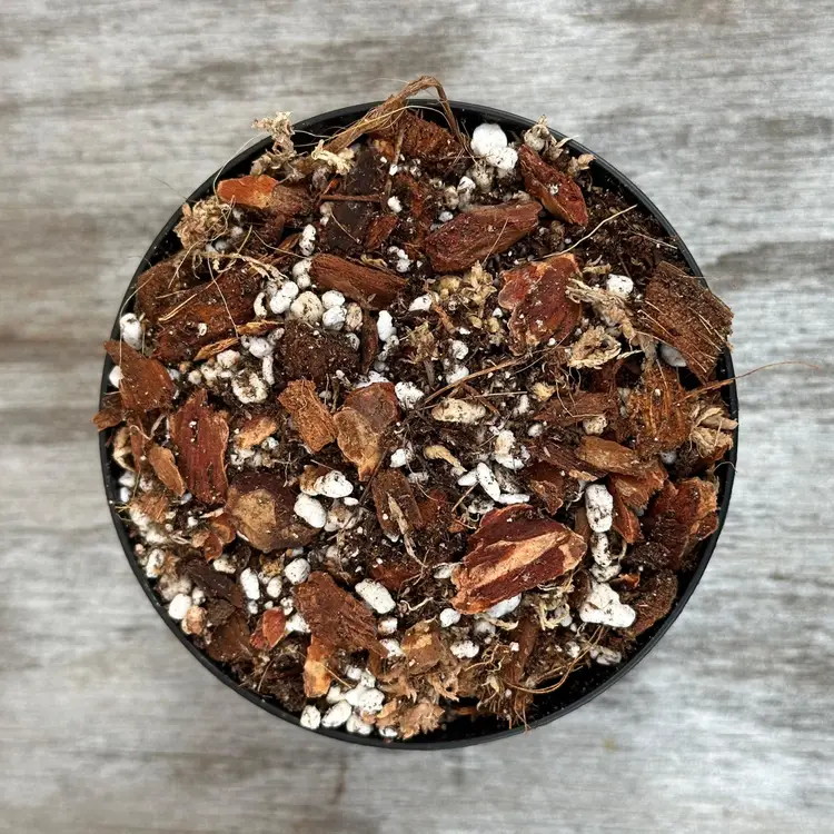 Substrate - Aroid #1