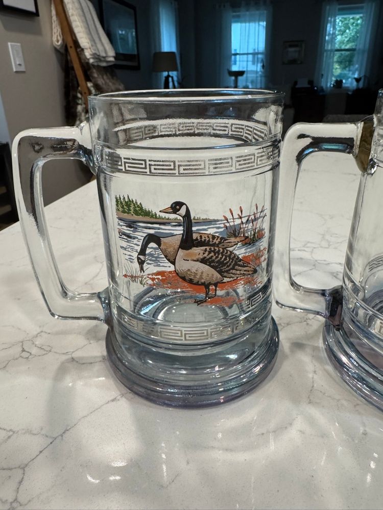Vintage Princess House Glass Mugs