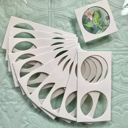 Cutest Coin Holder Window Packs