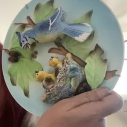 Plate