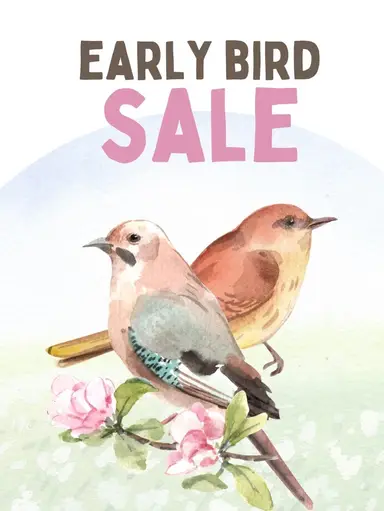 Early Morning Power Hour