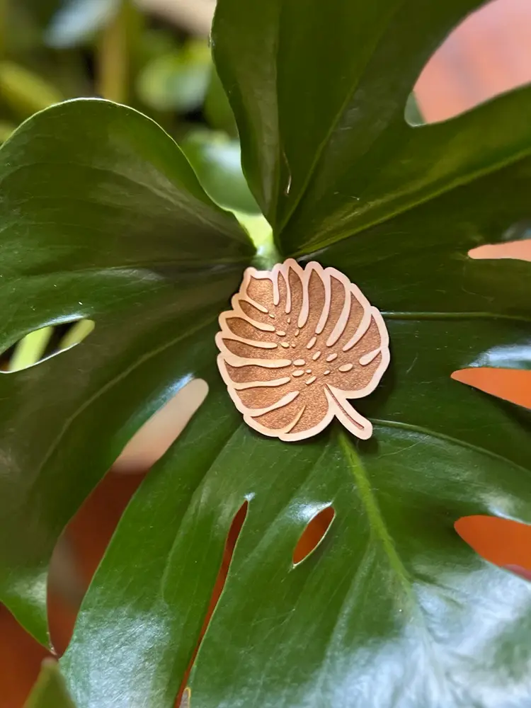 Plant Accessories Are Cool