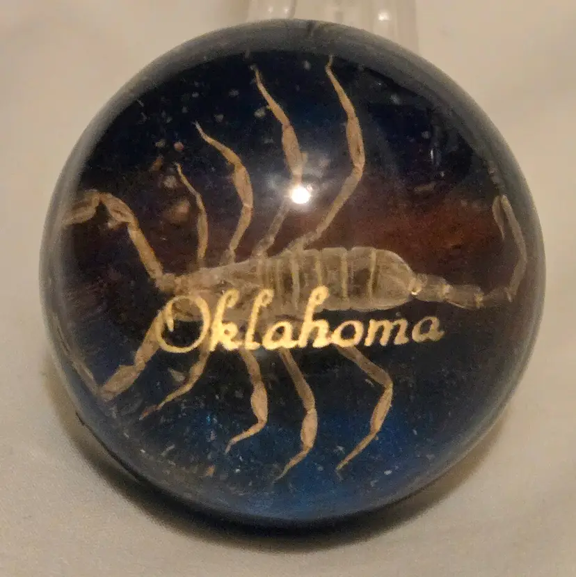 Oklahoma Souvenir Real Scorpion Acrylic Blue & Clear Glitter Felt Bottom 1½" Dome Vintage
