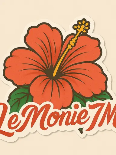 Random Items, Dvds Clothes, Toys