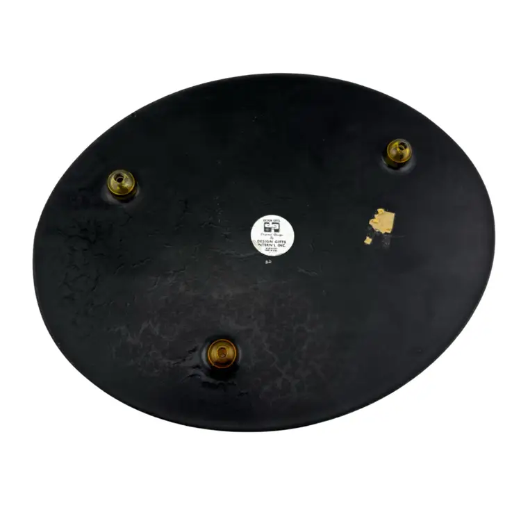 Vintage Lucite Black Abalone Seashell Trivet