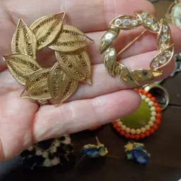 Two brooches one money