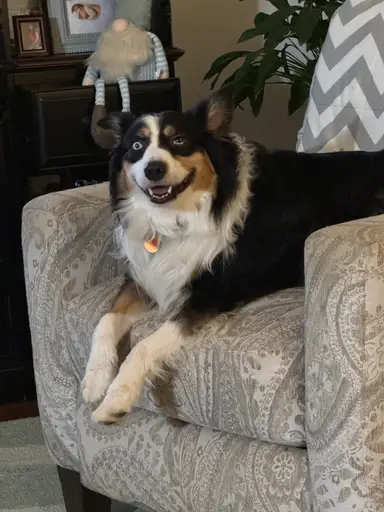 Shep Says: “Yea! New Finds!” Let’s Go!!