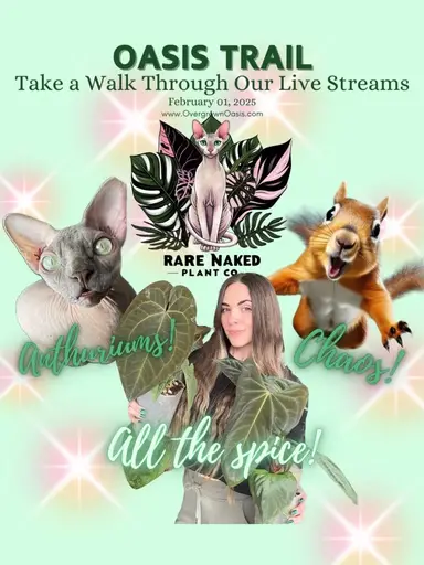 Join RNPC On The Oasis Trail 