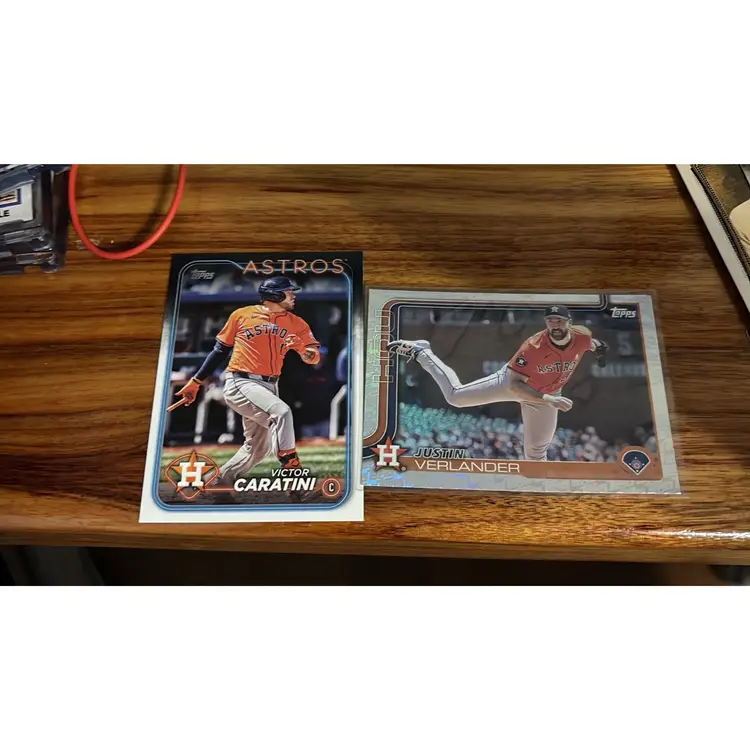 Houston Astros Lot