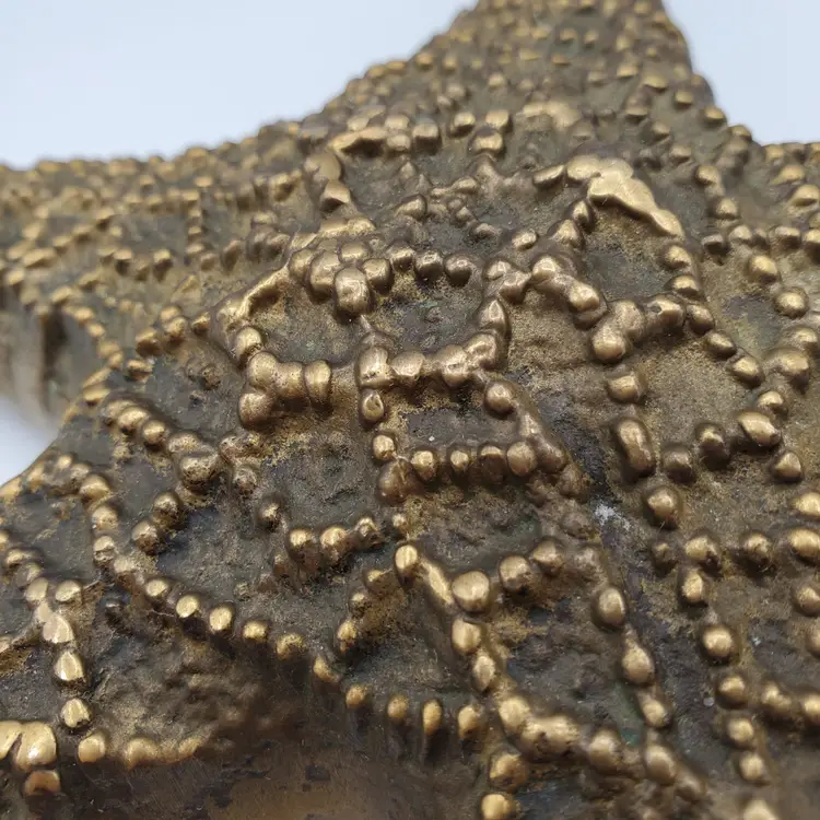 MCM Vintage Brass Starfish Paperweight Coastal Nautical Decor 9"