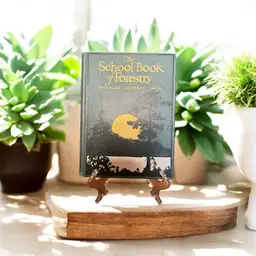 Antique 1922 Forestry Book
