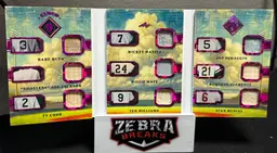 2025 Leaf Seasons in the Sun Cloud 9 Relic