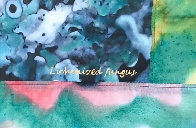 Lichenized Fungus Wall Hanging Ellen Frenkel Silk Art Painting Biology Science