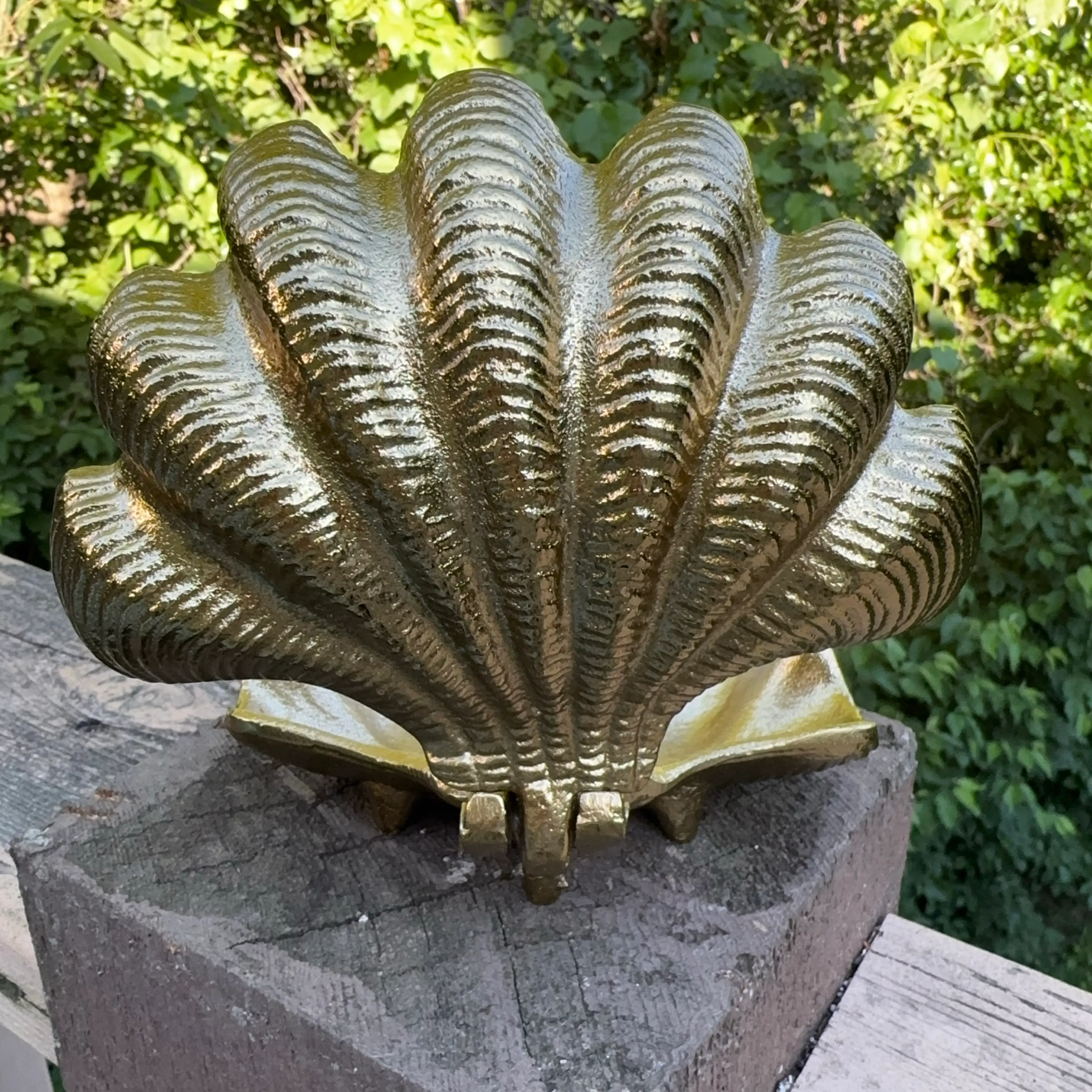 Image 4 of 5