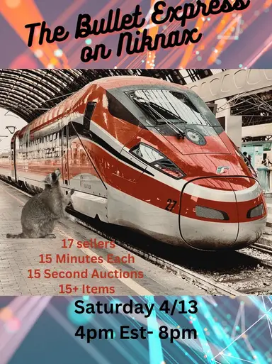 The Bullet Express Train