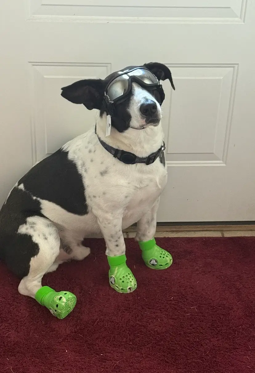 Livestream thumbnail